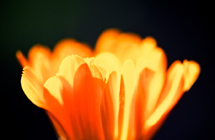 Bild 06