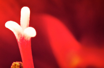 Bild 09
